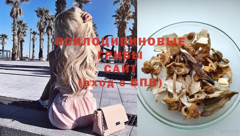 Галлюциногенные грибы Psilocybe  OMG ССЫЛКА  Таганрог 