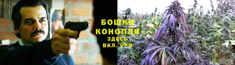 Канабис SATIVA & INDICA  Таганрог 